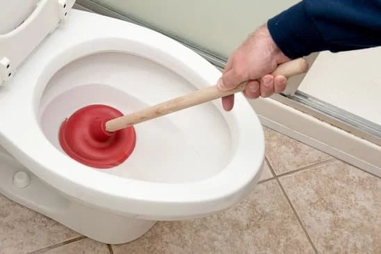1. Chất thải hữu cơ và dầu mỡ tích tụ - TPHCM
